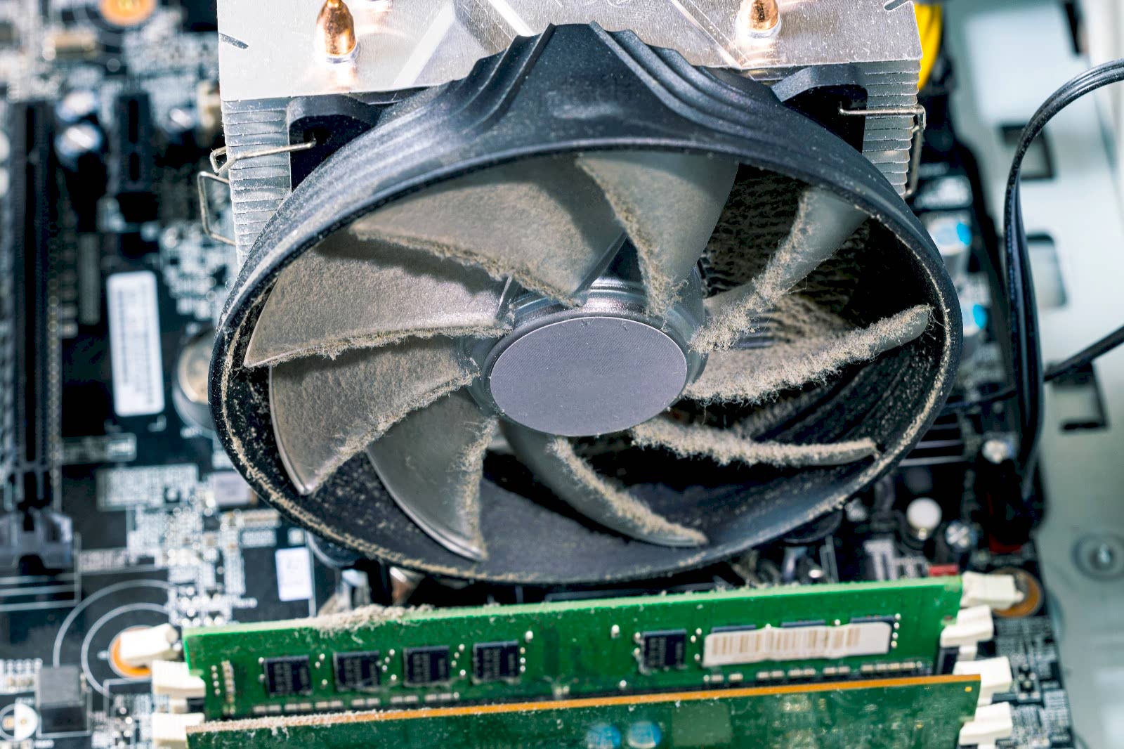 Bilgisayar Fanı Neden Sürekli Tozlanır ?